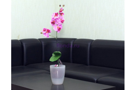 Кашпо для орхидей пластиковое "Орхидея  1,3л (прозрачное)"