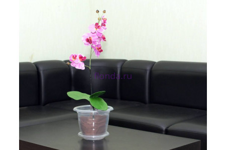 Горшок пластиковый для орхидей 2л (прозр) с под м1605                   