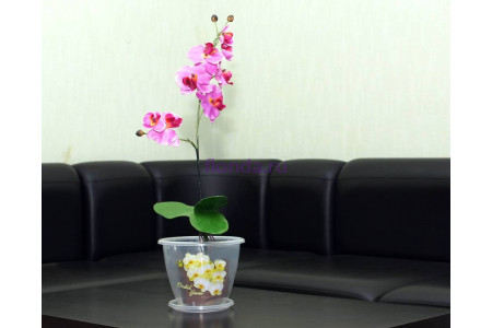Горшок для цветов пластиковый Флора с под. 2л (орхидея) м3063Ж                   