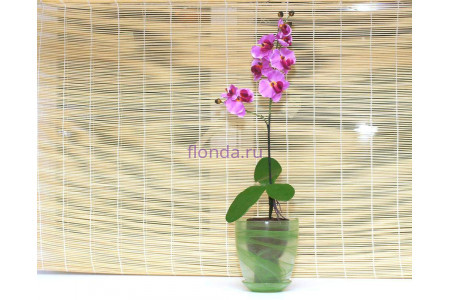 Горшок для орхидеи из стекла  «№4 алебастр  зеленый»